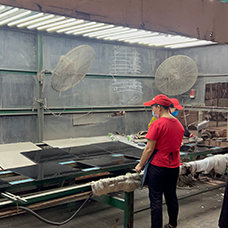 အနက်ရောင်ကြွေပြားပိုးကောင်