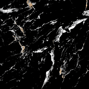 ရေစိုခံ Black Polished Marble Effect ကြွေပြားများ ဇိမ်ခံပုံစံ 